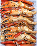 HONEY CRAB LEG CLUSTERS (10 & UP COUNT)