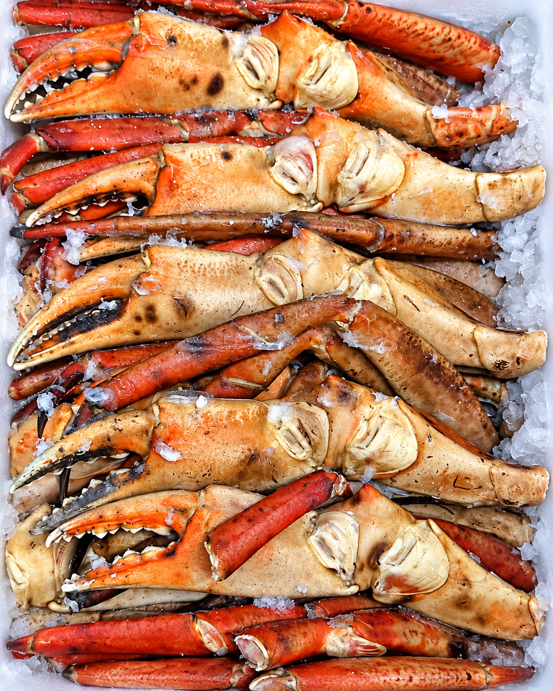 HONEY CRAB LEG CLUSTERS (10 & UP COUNT)